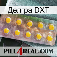 Делгра DXT new11